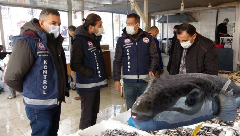 Van’da kaya balığı zannedilen balon balığı can aldı! 2 arkadaştan biri öldü