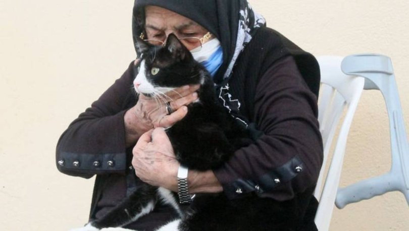 Magandaların tüfekle vurdu! Vücudunda 80’e yakın saçma tespit edildi
