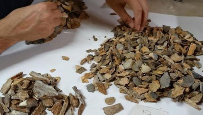 Arkeolojik kazıda 41 bin yıllık Neandertal kalıntısı bulundu