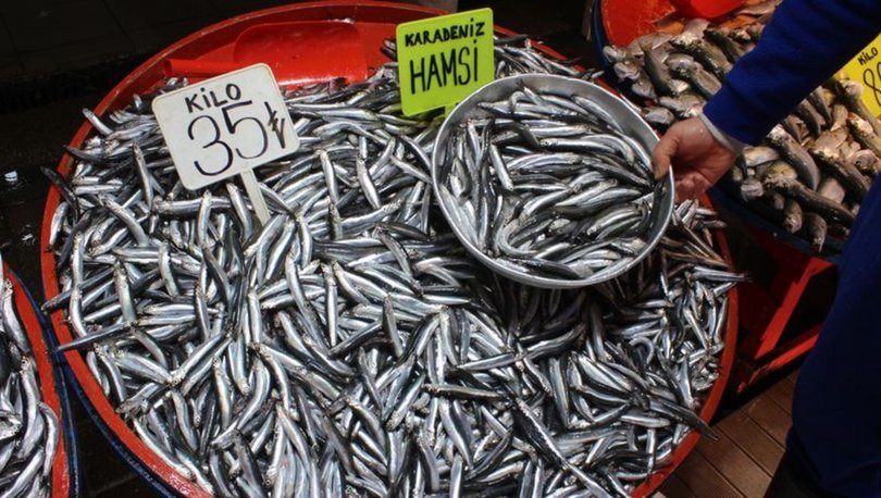Bakanlık hamsi açıklaması: 10 gün yakalama yasağı getirildi