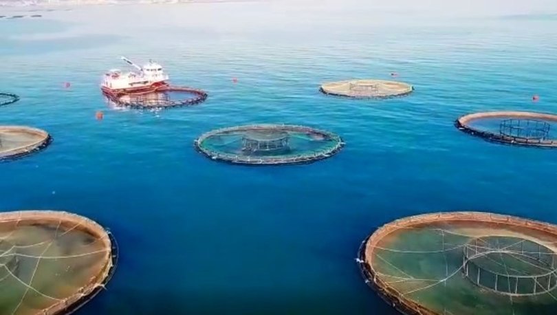 Doğu Karadeniz’den 17 ülkeye 13 bin 188 ton su ürünü ihracatı