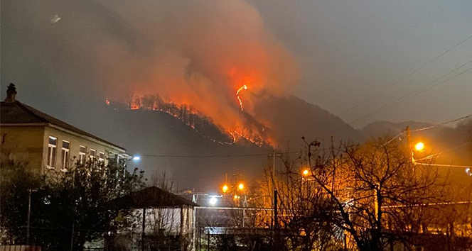 Rusya’da yeni yıl kutlamalarında atılan havai fişekler orman yangınına neden oldu