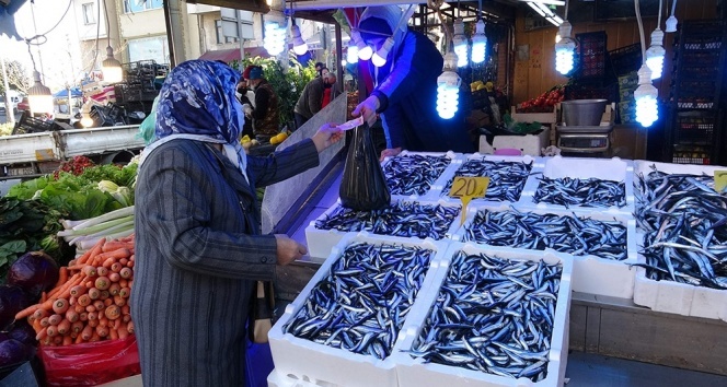 Hamsinin peşinden bu kez Gürcistan’a değil İğneada’ya gittiler