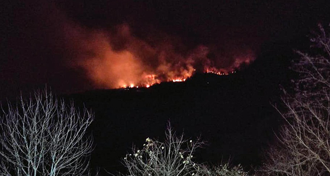 Giresun’da orman yangını