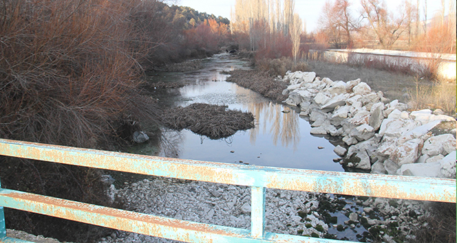 Beyşehir Gölü’nün su kaynakları da kurudu