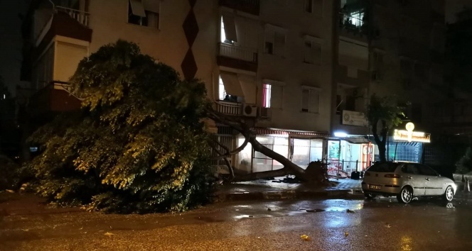 Antalya’da hortum ağaçları kökünden söktü, çatıları uçurdu