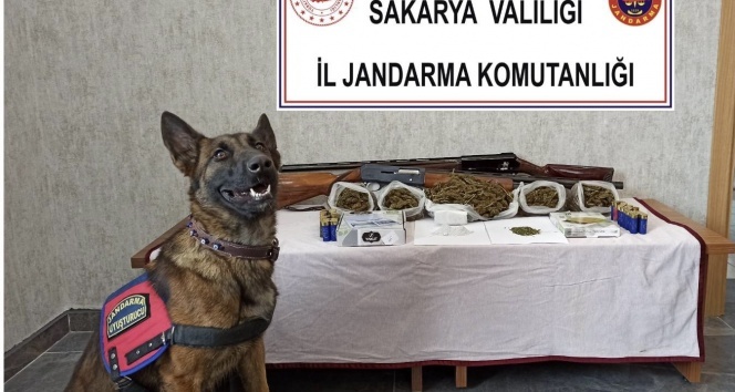 Sakarya’da uyuşturucu operasyonu: 1 gözaltı