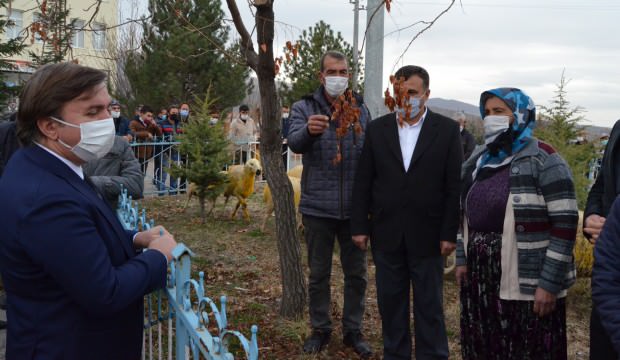 Aksaray Valiliği trafik kazasında koyunları telef olan Şerife nineyi sevindirdi