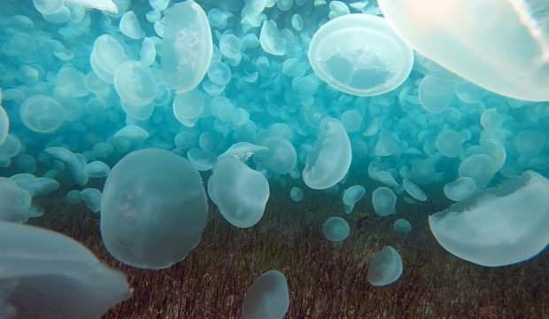 Çanakkale Boğazı’nda korkutan görüntü: Normal bir durum değil