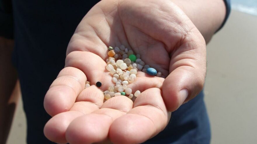 Paketli gıdalarda ‘mikroplastik’ tehlikesi
