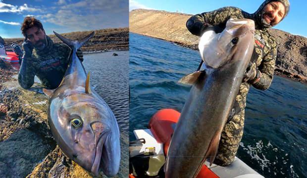Rekortmen dalgıç, 1,5 metre boyunda ve 27 kilo ağırlığında akya avladı