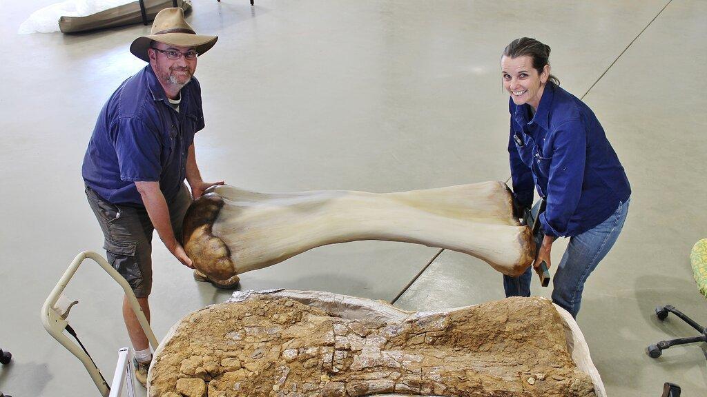 Avustralya'da kıtanın en büyük dinozoru keşfedildi