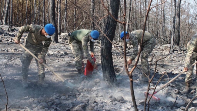 Mehmetçik'ten yangın söndürme çalışmalarına destek