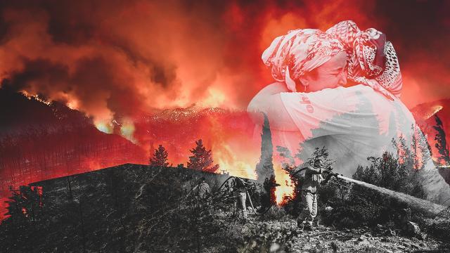 4 ilde orman yangınlarıyla mücadele sürüyor