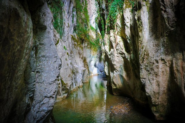 Saltuklu Kanyonu’nun tanıtımı için soğuk havada yüzdü