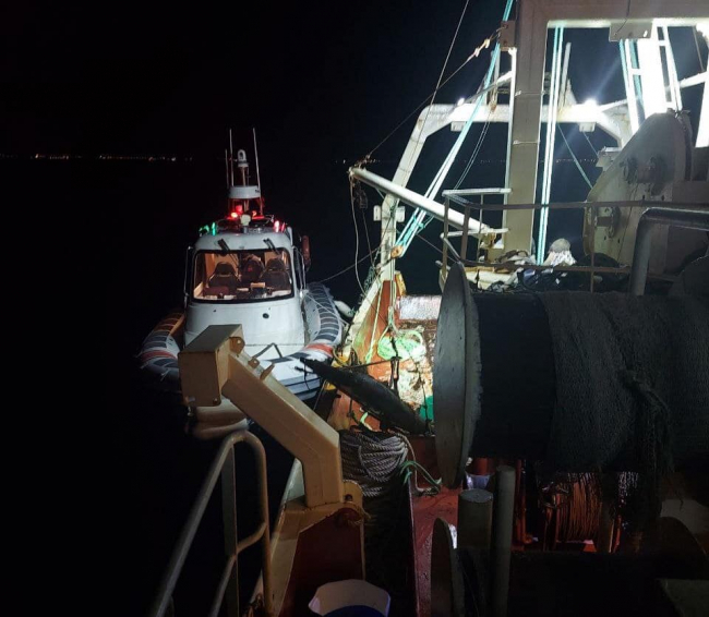 Kaçak avlanan 550 kilo deniz patlıcanı ele geçirildi