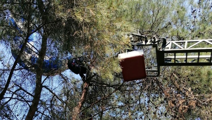Manisa’da faciadan dönüldü! Ağaca asılı kalan amatör paraşütçü kurtarıldı