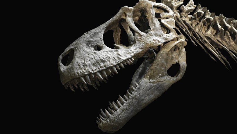 Jurassic Park filmine ilham veren dinozor iskeletine rekor fiyat