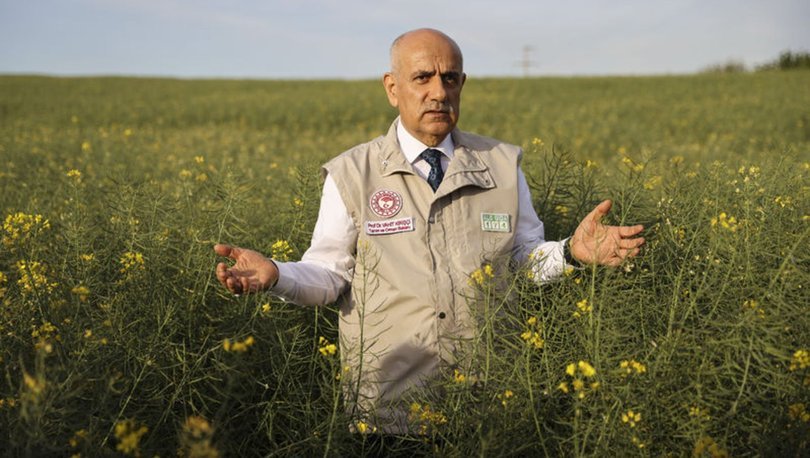 Bakan Kirişci orman yangınlarının bilançosunu açıkladı