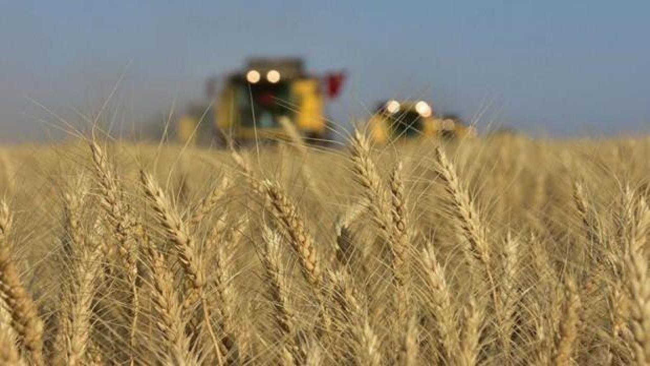 Economist: Gıda felaketi yaklaşıyor