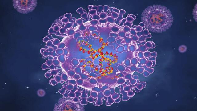 Dünyanın yeni korkusu: Maymun çiçeği virüsü
